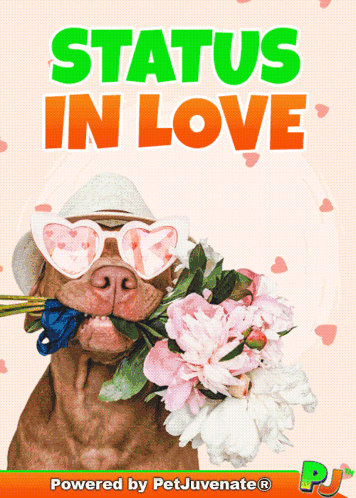 A Picture Of A Dog Holding Flowers With The Words Status In Love Behind It GIF