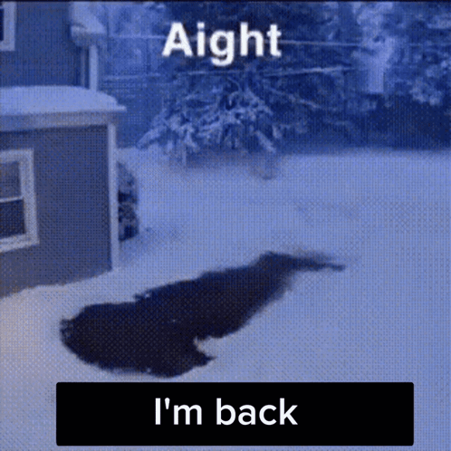 A Picture Of A Dog In The Snow With The Words Aight I 'M Back GIF