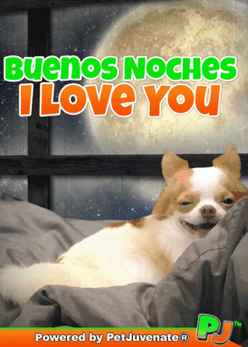 a picture of a dog laying in bed with the words buenos noches i love you above it