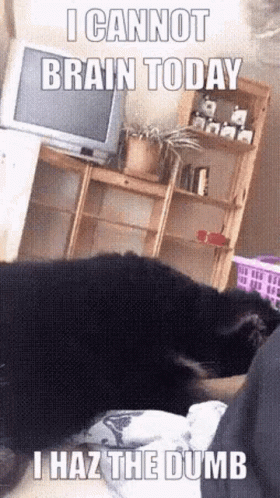 Dog Laying On Bed Saying I Cannot Brain Today GIF