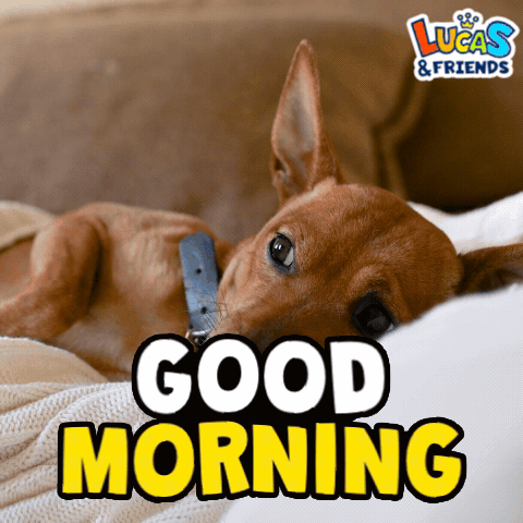 A Picture Of A Dog Laying On A Bed With The Words " Good Morning " GIF