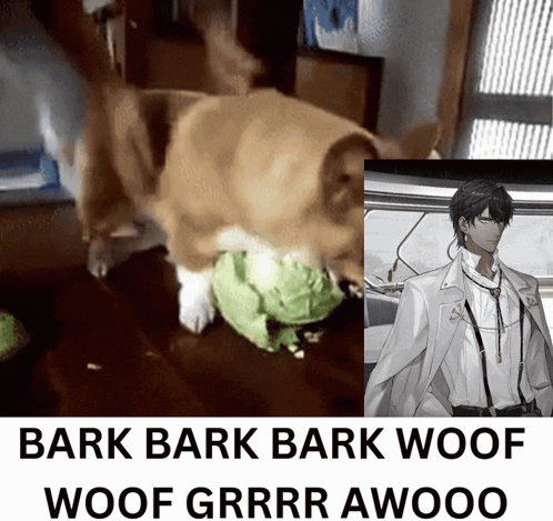 A Picture Of A Dog Next To A Picture Of A Man That Says Bark Bark Bark Woof Woof Grrr Awooo GIF