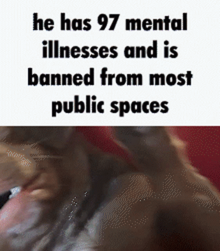 A Picture Of A Dog Next To A Text That Says He Has 97 Mental Illnesses And Is Banned From Most Public Spaces GIF