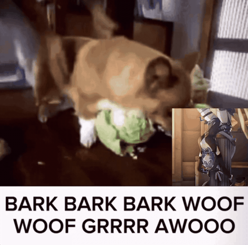 A Picture Of A Dog Next To The Words Bark Bark Woof Woof Grrr Awooo On The Bottom GIF