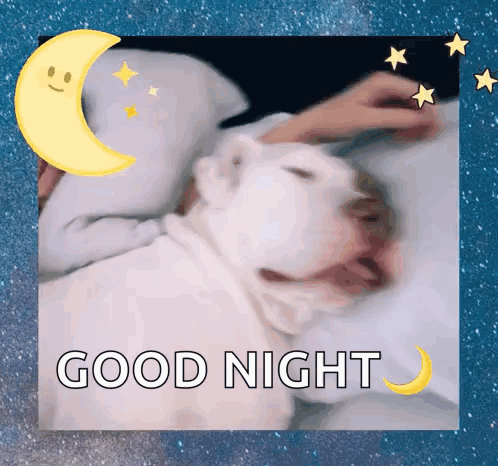 A Picture Of A Dog Sleeping With The Words Good Night Written On It GIF