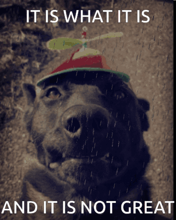 A Picture Of A Dog Wearing A Propeller Hat With The Words It Is What It Is And It Is Not Great Below It GIF