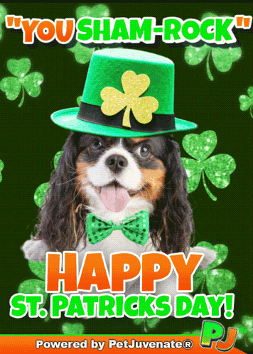 A Picture Of A Dog Wearing A Shamrock Hat And A Bow Tie GIF