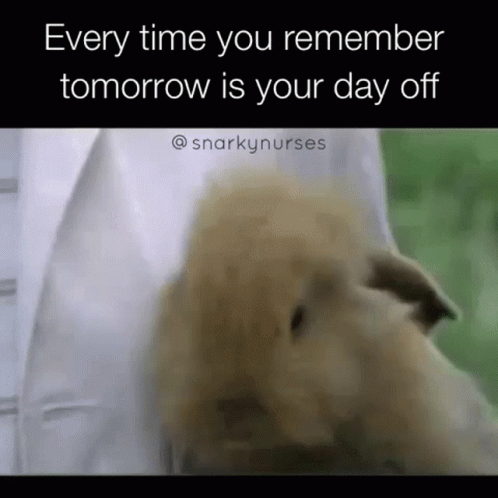 a picture of a dog with a caption that says every time you remember tomorrow is your day off .