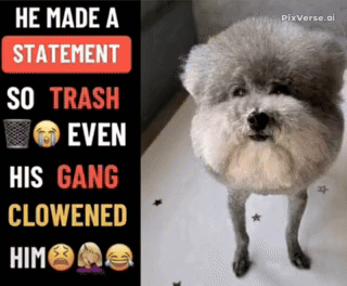 A Picture Of A Dog With A Caption That Says He Made A Statement So Trash Even His Gang Clowed Him GIF