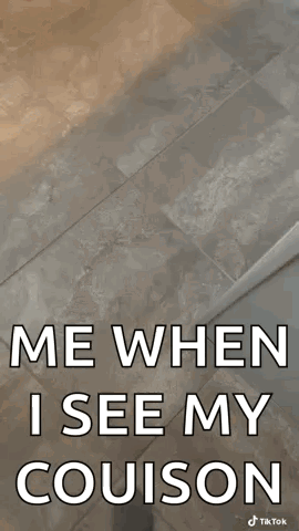 A Picture Of A Dog With A Caption That Says Me When I See My Cousin GIF