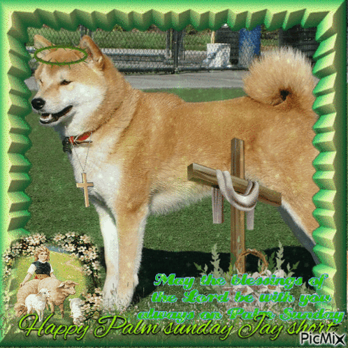 A Picture Of A Dog With A Cross And The Words " May The Blessings Of The Lord Be Always On Palm Sunday " GIF