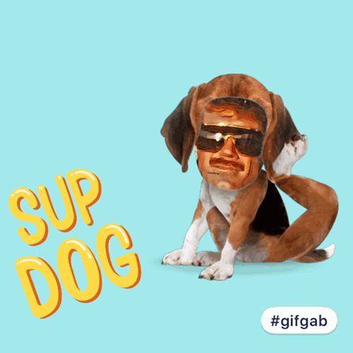 A Picture Of A Dog With A Man 'S Face And The Words Sup Dog On It GIF