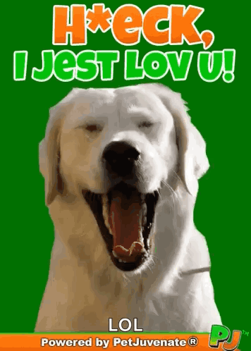 A Picture Of A Dog With Its Mouth Open And The Words H * Eck I Jest Lov U Lol GIF