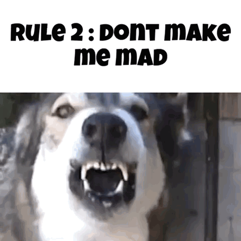 A Picture Of A Dog With Its Mouth Open And The Words Rule 2 : Dont Make Me Mad GIF