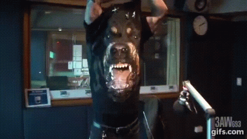 A Picture Of A Dog With Jaw693 Gifs.com On The Bottom Right GIF