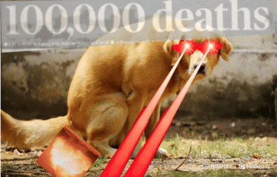 A Picture Of A Dog With Lasers Coming Out Of Its Eyes And The Words 100,000 Deaths Behind It GIF