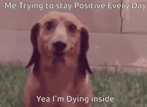 A Picture Of A Dog With The Caption " Me Trying To Stay Positive Every Day Yea I M Dying Inside " GIF