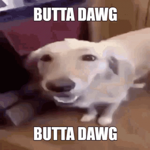 A Picture Of A Dog With The Words Butta Dawg On It GIF