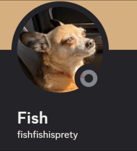 A Picture Of A Dog With The Words Criminal Fish Fishfishispretty On The Bottom GIF