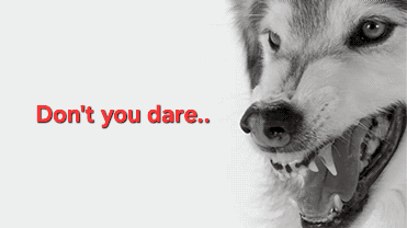 A Picture Of A Dog With The Words " Do N't You Dare " Written In Red GIF