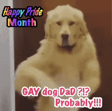 A Picture Of A Dog With The Words Gay Dog Dad Probably GIF