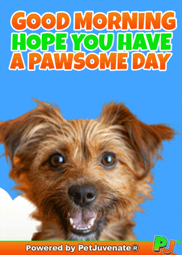 A Picture Of A Dog With The Words Good Morning Hope You Have A Pawsome Day Below It GIF