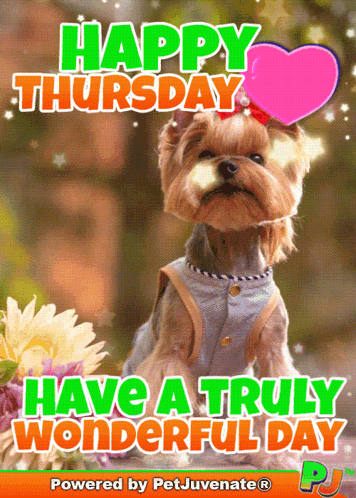 A Picture Of A Dog With The Words Happy Thursday Have A Truly Wonderful Day Below It GIF