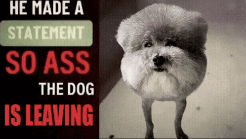 A Picture Of A Dog With The Words He Made A Statement So Ass The Dog Is Leaving GIF