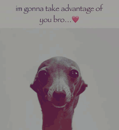 A Picture Of A Dog With The Words Im Gonna Take Advantage Of You Bro Written Above It GIF