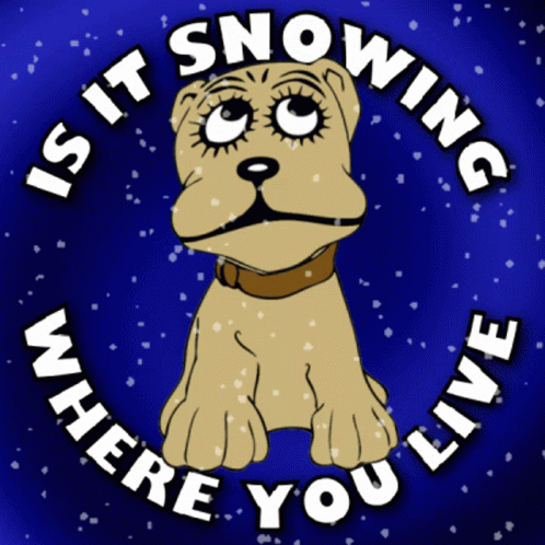 a picture of a dog with the words " is it snowing where you live " around it