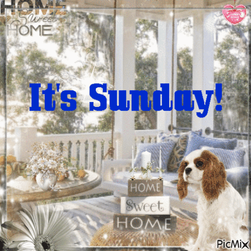A Picture Of A Dog With The Words It 'S Sunday Written On It GIF
