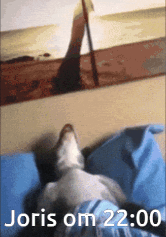 A Picture Of A Dog With The Words Joris Om 22:00 GIF