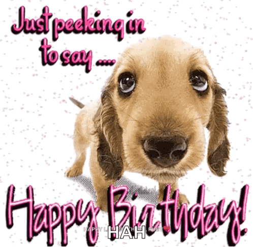 A Picture Of A Dog With The Words " Just Peeking In To Say Happy Birthday " GIF