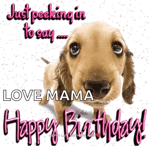 A Picture Of A Dog With The Words " Just Peeking In To Say Love Mama Happy Birthday " GIF