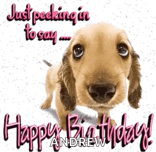 A Picture Of A Dog With The Words " Just Peeking In To Say " GIF