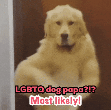 a picture of a dog with the words lgbtq dog papa most likely above it