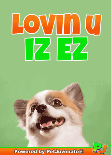 A Picture Of A Dog With The Words Lovin U Iz Ez On It GIF