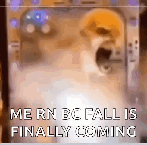 a picture of a dog with the words me rn bc fall is finally coming on it