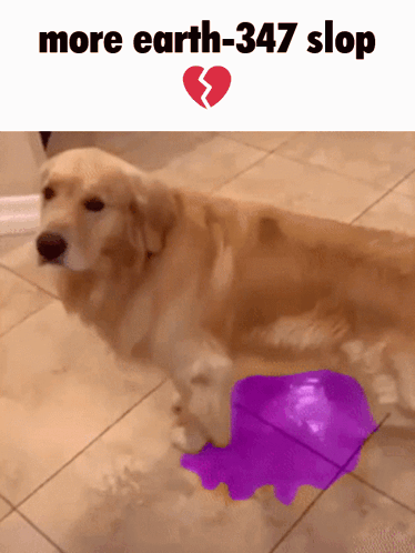 A Picture Of A Dog With The Words More Earth-347 Slop On The Top GIF