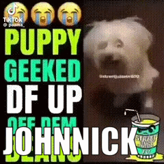 A Picture Of A Dog With The Words Puppy Geeked Df Up Off Dem Johnnick Written On It . GIF