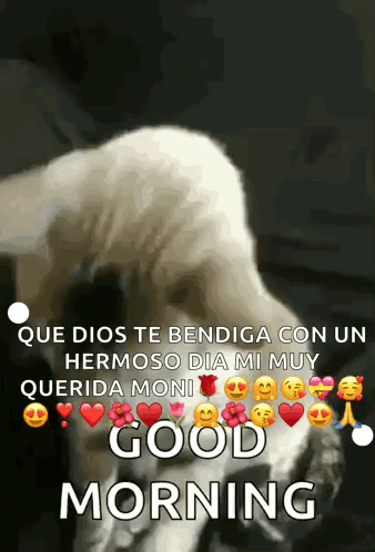 A Picture Of A Dog With The Words " Que Dios Te Bendiga Con Un Hermoso Dia Mi Muy Querida Moni Good Morning " GIF
