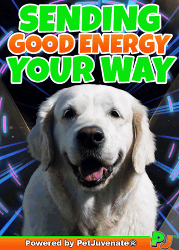 A Picture Of A Dog With The Words Sending Good Energy Your Way Above It GIF