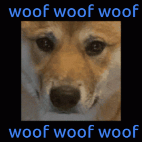 A Picture Of A Dog With The Words Woof Woof Woof Above It GIF