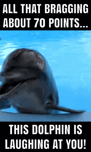 A Picture Of A Dolphin With A Caption That Says All That Bragging About 70 Points This Dolphin Is Laughing At You GIF