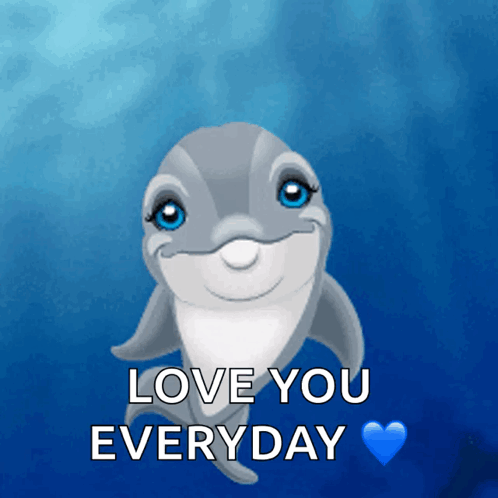 A Picture Of A Dolphin With The Words " Love You Everyday " Below It GIF