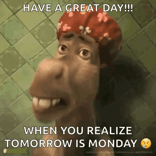 a picture of a donkey with a shower cap that says have a great day !!! when you realize tomorrow is monday