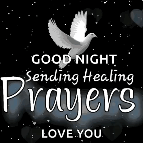 A Picture Of A Dove With The Words Good Night Sending Healing Prayers Love You . GIF