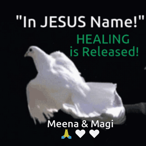 A Picture Of A Dove With The Words " In Jesus Name " GIF