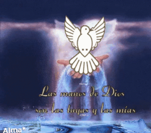 A Picture Of A Dove With The Words " Las Manos De Dios Son Las Tuyas Y Las Mia " GIF