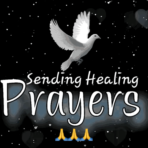 A Picture Of A Dove With The Words Sending Healing Prayers GIF